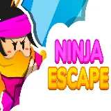 Ninja Escape